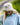 Bucket Hat "Challenge" grey